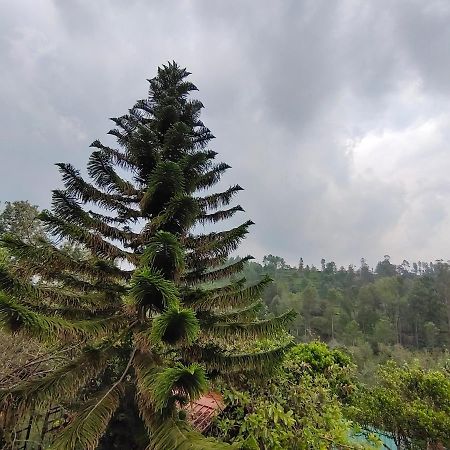 Silver Spruce Entire Nature Villa Kotagiri Exterior photo