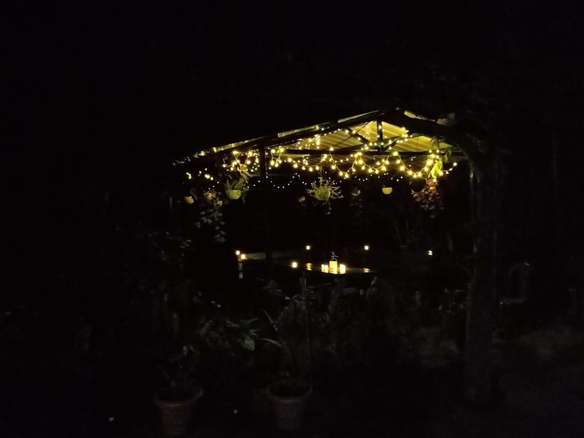 Silver Spruce Entire Nature Villa Kotagiri Exterior photo