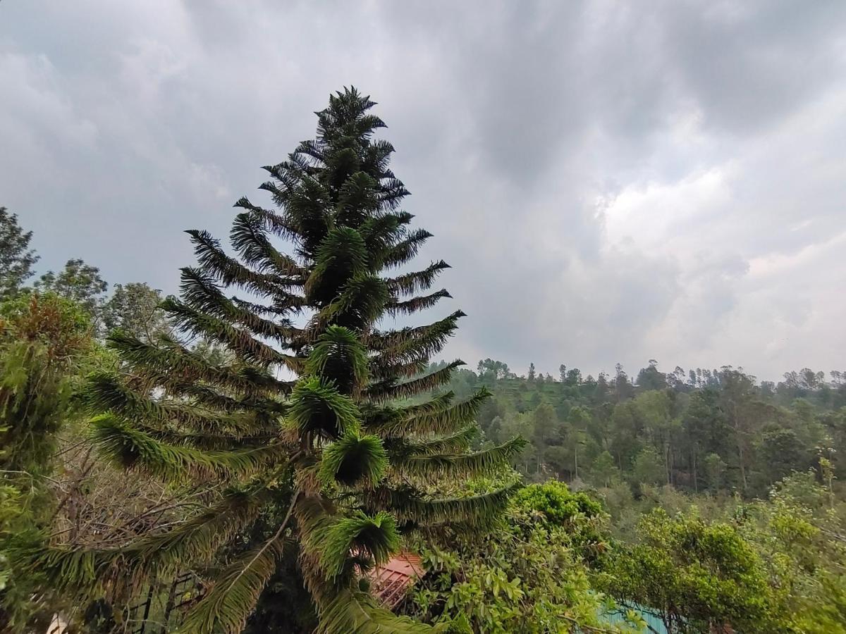 Silver Spruce Entire Nature Villa Kotagiri Exterior photo