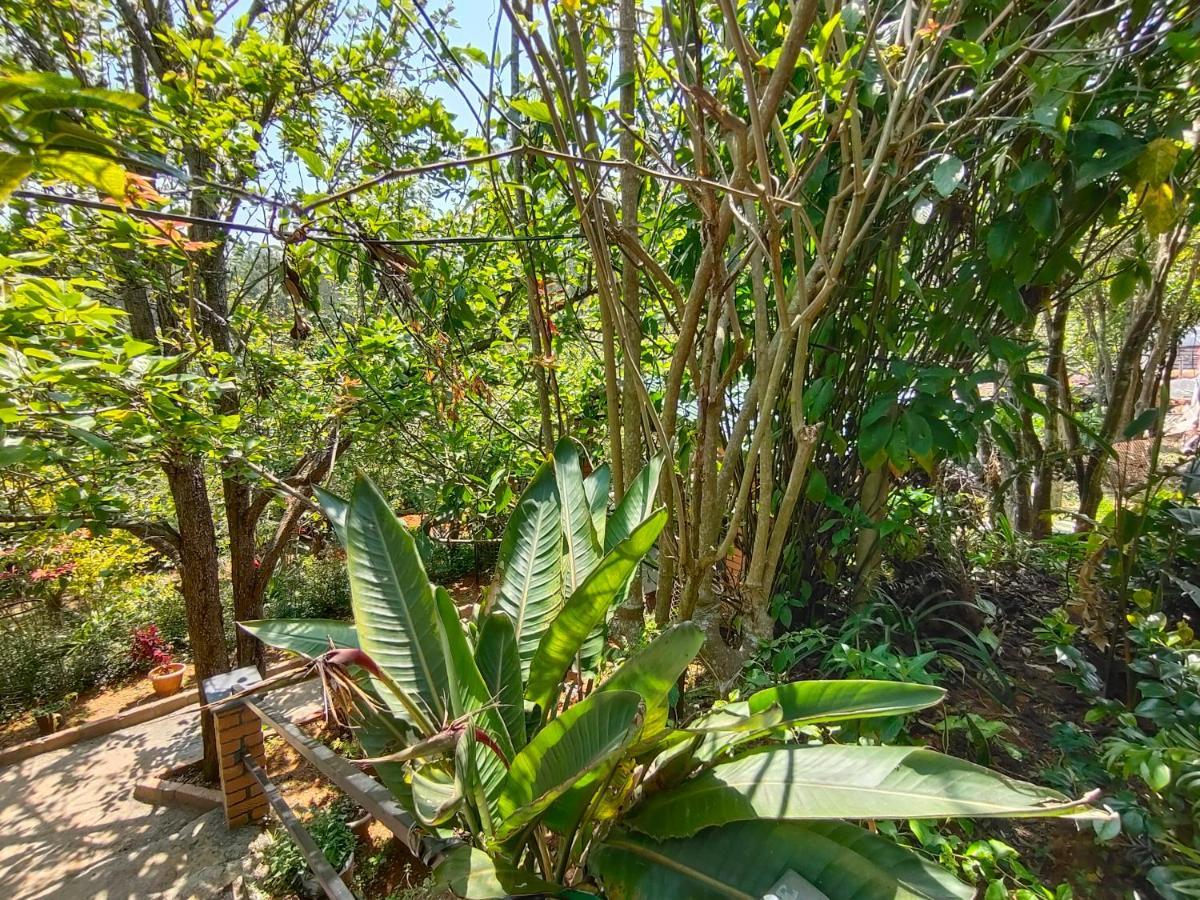 Silver Spruce Entire Nature Villa Kotagiri Exterior photo
