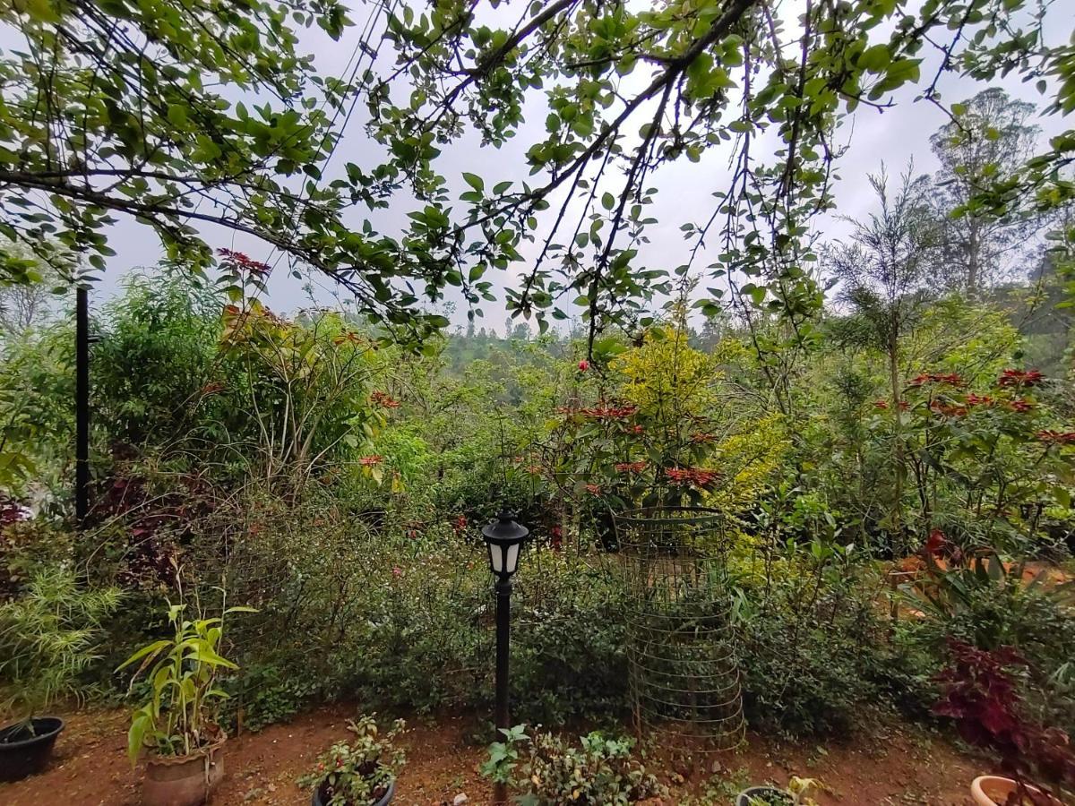 Silver Spruce Entire Nature Villa Kotagiri Exterior photo