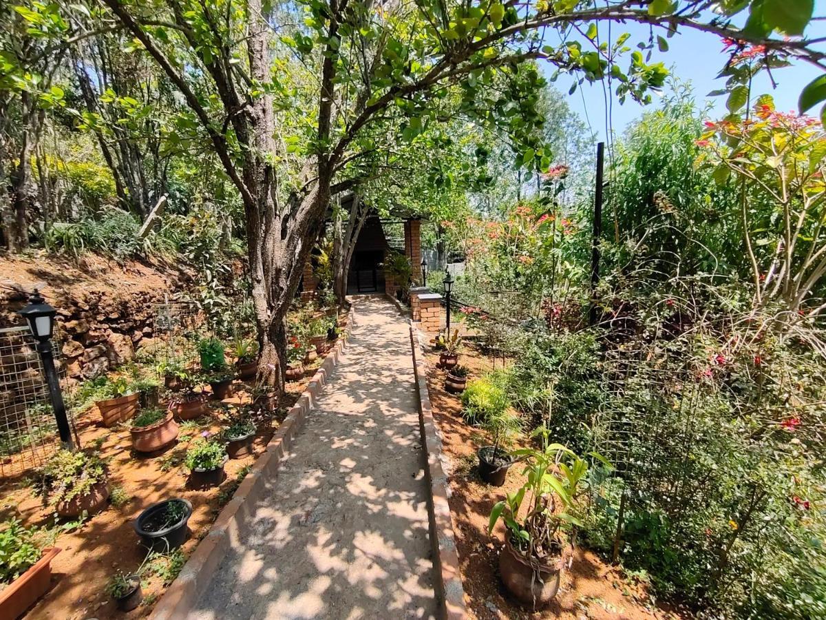 Silver Spruce Entire Nature Villa Kotagiri Exterior photo