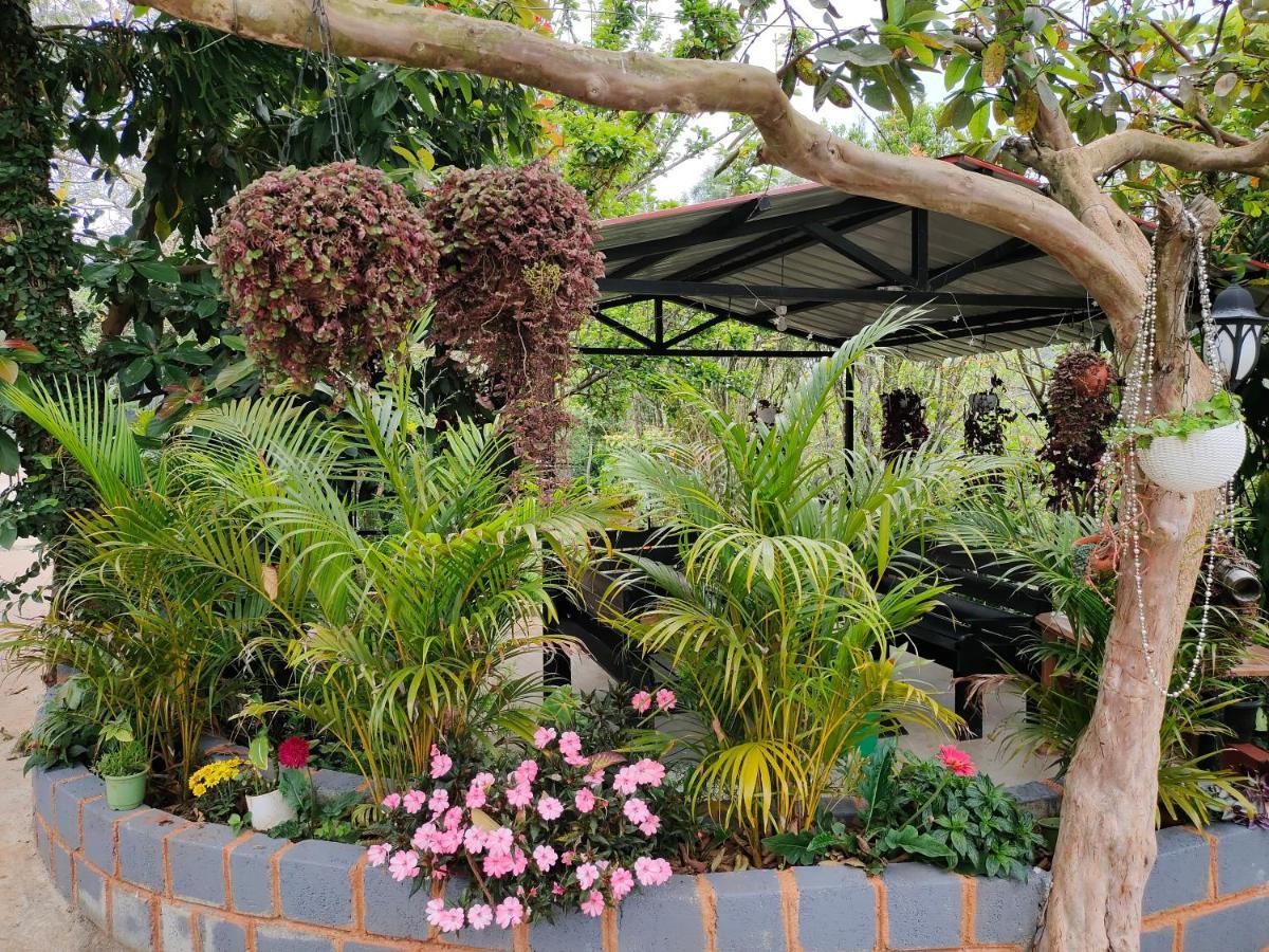 Silver Spruce Entire Nature Villa Kotagiri Exterior photo